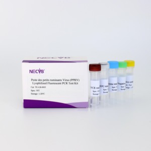 Kit <span class=keywords><strong>de</strong></span> detección <span class=keywords><strong>de</strong></span> ácido nucleico PPRV (RT-qPCR liofilizado, 50T/Kit)-para diagnóstico veterinario - Product Image 3