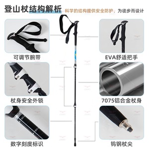Bâtons de trekking en alliage d'aluminium, trois sections télescopiques, légers, avec mécanisme de verrouillage externe, pour la randonnée et l'escalade - Product Image 4
