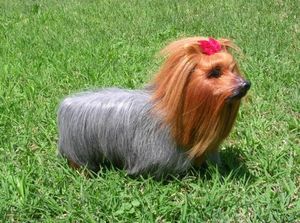 Realistic Plush <strong>Dog</strong> Model Lifelike <strong>Yorkshire</strong> <strong>Dog</strong> With Rabbit/Goat Fur <strong>Yorkshire</strong> <strong>Toy</strong> - Product Image 3