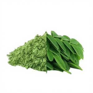 Poudre de feuilles de Moringa de qualité alimentaire, extrait naturel d'herbes, superaliment pur, séché par pulvérisation, directement de l'usine - Product Image 1