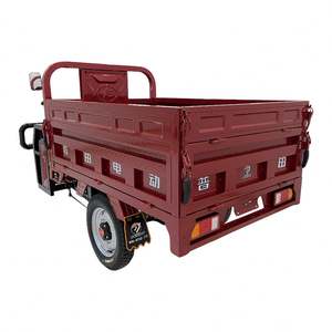 New Arrival 48V <strong>Kawasaki</strong> Jxl Jxing Electric Jp Jongshen <strong>Tricycle</strong> Bicycle for Adult - Product Image 2