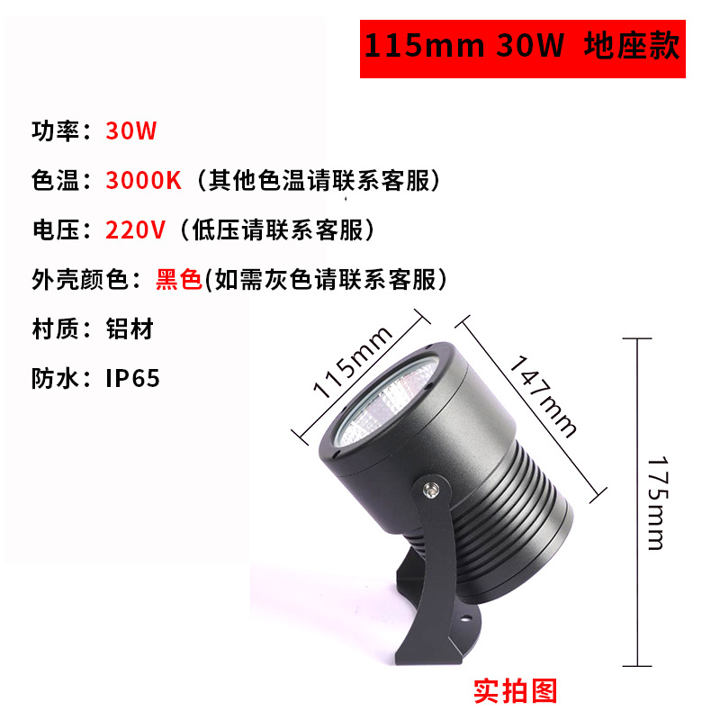 30W + coque noire + lumière chaude + modèle de base