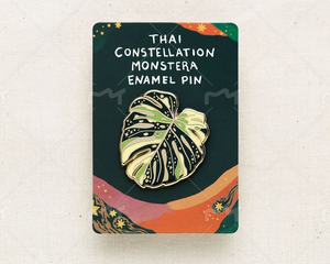 Monstera Albo Thai Constellation Monstera ใบโลหะ Monstera Begonia Alocasia - Product Image 3