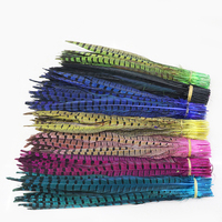 Plumes de queue de faisan collier naturelles brutes de 35-40 cm, motif brut, pour l'artisanat, vente en gros à prix abordable