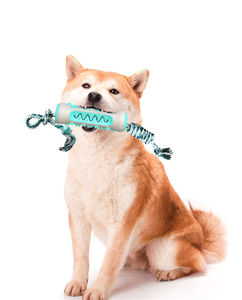 Offre Spéciale os forme <span class=keywords><strong>Pet</strong></span> résistant aux morsures jouets à mâcher Non toxique molaire bâton chien brosse à dents jouet - Product Image 6