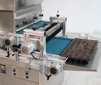 Semoir et transplanteur automatique Joycan de petite taille avec moteur, plateau d'aspiration à aiguilles, haute productivité pour pépinière