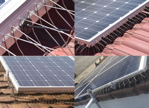 Pointes <span class=keywords><strong>anti</strong></span>-oiseaux en acier inoxydable, base soudée en acier inoxydable, pour panneaux solaires et <span class=keywords><strong>gouttières</strong></span> - Product Image 5