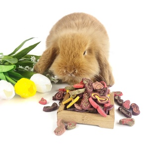 Penjualan Terbaik Sayuran Kering Kelinci, Chinchilla, Marmut, Camilan Molar Nutrisi Hamster, Makanan Hewan Peliharaan - Product Image 5