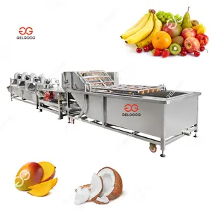 High Quality Fruits Vegetable Washing Processing Salad Cutting Washing Drying Line Vegetable Processing Line