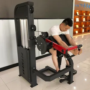 Commercial Weight Stack Selectorized Machine Dual Function Tricep/bicep Strength Machine Commercial Equipment