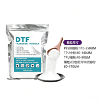 Poudre thermofusible DTF ultra-fine de qualité supérieure 2,2 lb, blanche, 80-200 microns, pour l'impression par transfert sur les uniformes de football, toucher doux