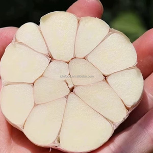 Nueva cosecha orgánica fresca rojo normal púrpura puro <span class=keywords><strong>ajo</strong></span> blanco precio de mercado <span class=keywords><strong>chino</strong></span> <span class=keywords><strong>Ajo</strong></span> Alho ajos para alimentos al por mayor <span class=keywords><strong>ajo</strong></span> mundo - Product Image 5