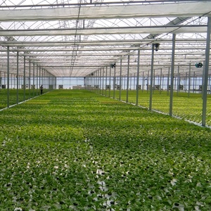 Yqdft-système de culture hydroponique pour la croissance des feuilles, légumes, littes, salade et herbes - Product Image 6