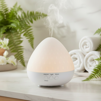 Diffuseur d'huiles essentielles LED 250 ml avec minuterie, aromathérapie, pour la maison, l'hôtel et le spa - Vente en gros