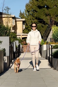 Accessoires pour animaux de compagnie, colliers pour animaux de compagnie personnalisés, colliers et laisses imperméables en PVC, ensemble collier et laisse pour chien - Product Image 5