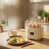 Cuiseur à œufs électrique automatique, cuiseur vapeur multifonctionnel, appareil de cuisine avec minuterie intelligente, boîtier en plastique
