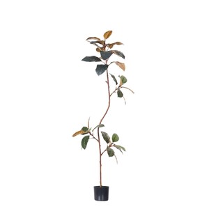 Plante en caoutchouc, plante artificielle en plastique en pot, plante décorative pour la maison, le bureau, la décoration du jardin, décoration intérieure, plantes artificielles - Product Image 5