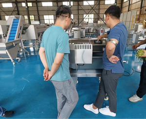 Cortadora Industrial de verduras con la mejor relación calidad-precio <span class=keywords><strong>del</strong></span> <span class=keywords><strong>mundo</strong></span> - Product Image 3