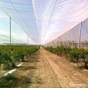 Malla Antimosquitos Agrícola de Polietileno con Protección UV, Tamaño Personalizado, 60 Mallas, para Protección de Huertos y Agricultura, Superventas - Product Image 6