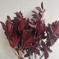 Alles-in-één groothandel geconserveerd plantenblad, eeuwigdurend natuurlijk osmanthusbloemblad voor bloemstukken, zacht DIY gedroogd bladermateriaal