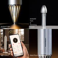 Diffuseur d'arômes à flamme rechargeable Bluetooth Wi-Fi pour huiles essentielles, parfums, décoration d'intérieur originale, diffuseur de parfum commercial