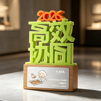 Trophée personnalisé en lettres 3D avec base en bois, plaque en aluminium gravée au laser, couleurs personnalisées pour les récompenses annuelles de l'entreprise