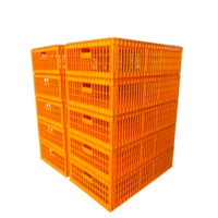 Nouvelles caisses et cages de transport pour poulets en plastique orange de type H, grande capacité, portables, 75*55*27 cm, pour le transport de poulets vivants
