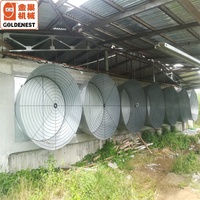 Ventilateur d'évacuation pour élevage de volailles, ventilateur d'économie d'énergie Goldenest, vente chaude, pour poulets de chair, poules reproductrices, poules pondeuses, élevage de reproducteurs