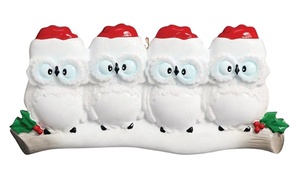 Déco de noël <span class=keywords><strong>personnalisé</strong></span> hibou <span class=keywords><strong>famille</strong></span> ornements de noël <span class=keywords><strong>personnalisé</strong></span> résine décor de maison suspendu ornement d'arbre de noël - Product Image 3