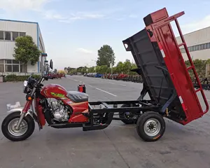 Tricycle avec moteur essence à refroidissement à eau à 3 roues, moto essence, camion, Cargo