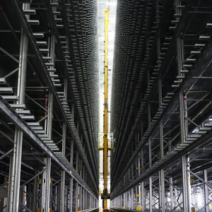 Pteris ASRS Unitload-Dubbele Kolom-Economy Zware Lastenhantering en Geautomatiseerde Magazijnoplossingen - Product Image 6