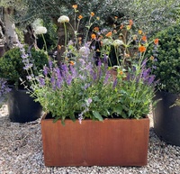 Jardinières en acier corten rouillé de grande taille, pour l'extérieur, de type rectangulaire ou rond