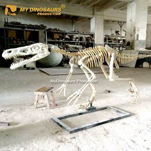 Mi <span class=keywords><strong>dinosaurio</strong></span> Parque Jurásico <span class=keywords><strong>esqueleto</strong></span> <span class=keywords><strong>Velociraptor</strong></span> resina fósil Artificial para la exposición del Centro <span class=keywords><strong>de</strong></span> Ciencia - Product Image 1