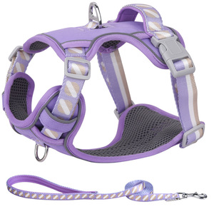 Kingtale kekang anjing dengan tali, rompi dapat diatur perlengkapan jalan lembut dapat bernafas Aksesori hewan peliharaan untuk anak anjing kecil <span class=keywords><strong>Chihuahua</strong></span> Pug - Product Image 3