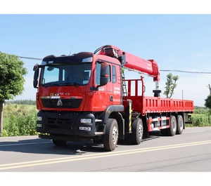 Kualitas tinggi HOWO 30 <span class=keywords><strong>Ton</strong></span> truk derek dengan Zoomlion silinder dan pompa <span class=keywords><strong>Tadano</strong></span> 25m angkat tinggi untuk Konstruksi Industri - Product Image 1