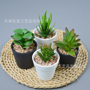 Combinación de bonsáis de suculentas artificiales, mini plantas verdes para decoración del hogar y la oficina, accesorios de plástico para interiores y exteriores, para bodas. - Product Image 2