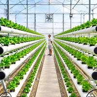 Système hydroponique automatique NFT Skyplant de grande taille avec pompe pour l'agriculture écologique et le jardinage vertical