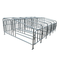 Jaulas de Gestación para Cerdas de Alta Calidad con Galvanizado en Caliente, Corrales de Gestación para Cerdas, Jaulas de Gestación sin Piso