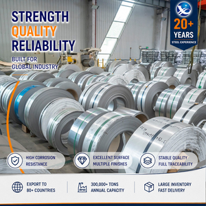 ISO Certified 347H 317L No.1 Finish 5.0mm x 1500mm Skin Passed Stainless Steel <b>Strip</b> for Boiler Manufacturing - Product Image 1