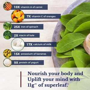 OEM Vente <span class=keywords><strong>en</strong></span> gros Capsules d'extrait de <span class=keywords><strong>Moringa</strong></span> 50:1 90 pilules pour un soutien nutritionnel antioxydant Suppléments à base de plantes pour la santé des adultes - Product Image 3