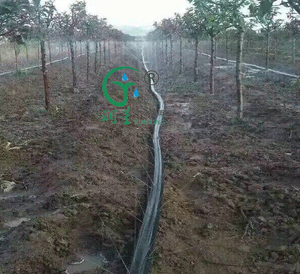 Ensemble complet de 1 hectare PE Micro Tube de pulvérisation 32mm raccord de tuyau de pluie agricole Irrigation Disposition tuyau <span class=keywords><strong>goutte</strong></span> <span class=keywords><strong>à</strong></span> <span class=keywords><strong>goutte</strong></span> tuyaux de jardin bobines - Product Image 3