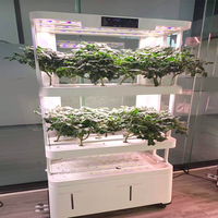 Nouveauté : Système de culture hydroponique intelligent pour la maison, jardin vertical intelligent d'intérieur