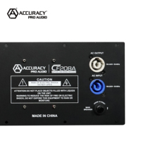 Accuracy Pro Audio 1120W Módulo amplificador activo de clase D digital de alta potencia para Módulo de matriz de línea
