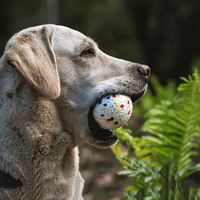 Jouet pour chien en ETPU multifonctionnel, flottant, indestructible, durable, haute élasticité, de qualité alimentaire, écologique, best-seller