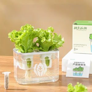 Plantes artificielles écologiques en pot, mini-plantes en plastique PP pour la maison, le jardin, le bureau, la décoration, la culture aquaponique de la laitue, 6 - Product Image 5