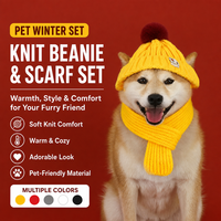 Bonnet tricoté pour animaux de compagnie avec trous pour les oreilles, bonnet chaud d'hiver pour petits chiens, chats, chiots, chatons, casquette thermique, vente en gros directe d'usine