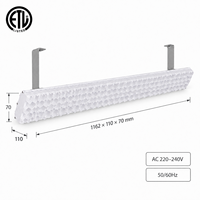 Éclairage LED linéaire pour sports en salle 42W 3320lm 6000K CRI80, double couche anti-éblouissement, sans scintillement, luminaire pour terrain de badminton