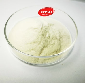 Monohidrato de creatina al mejor precio - Product Image 3