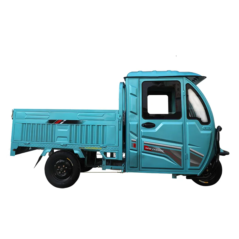 Popolare 1.6m Cargo Box 3 ruote carico elettrico triciclo per adulti