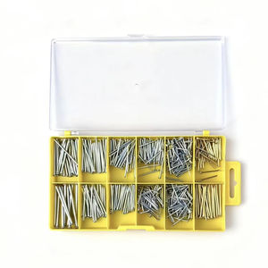 Stalen Nagelset In Verschillende Maten 500 Stuks Gegalvaniseerd En Met Koper Gecoate Platte Spijker Kleine Gemeenschappelijke Draad Ijzeren Spijker Met Tack - Product Image 1